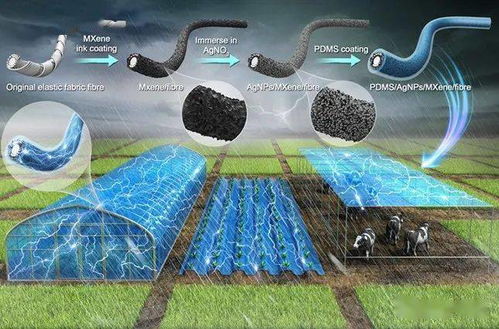 大棚布變身 發電機 浙大學者研制高科技,讓農業生產有了綠色能源